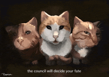 The Council Will Decide Your Fate котаны GIF - The Council Will Decide Your Fate Council Fate GIFs
