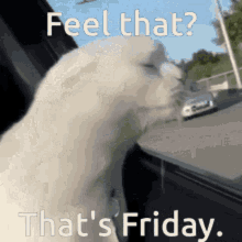 Friday Fridayfeeling GIF