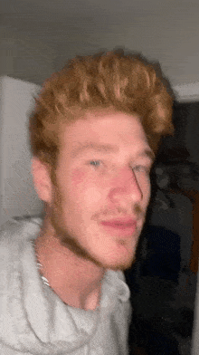a man with red hair and a beard is wearing a gray hoodie and looking at the camera .
