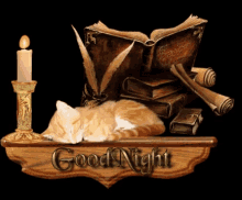 Good Night Candle GIF - Good Night Candle Kitten GIFs