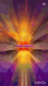 a painting of a flower with the word inshot on the bottom right