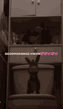 Vinvinmorning Vinzilla GIF - Vinvinmorning Vinzilla Morningvin GIFs