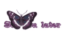 Later Butterfly GIF - Later Butterfly Bye GIFs