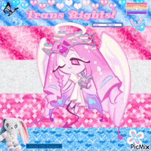 a picture of a cartoon character with the words " trans rights " on it