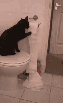 Toilet Paper Toilet GIF - Toilet Paper Toilet Cat GIFs
