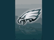 Philly Birds Eagles GIF