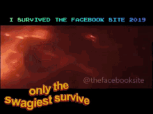 Solo I Survived GIF - Solo I Survived The Facebook Site GIFs