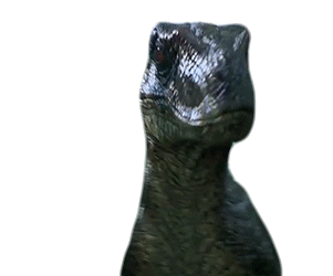 Raptor Rawr Sticker - Raptor Rawr Dinosaur Stickers