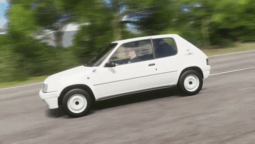 Peugeot 205 Rallye, Forza Wiki
