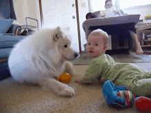 You'Ve Got Something Right There GIF - Dogs Baby Lick GIFs