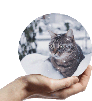 Winter Snow Sticker - Winter Snow Animated Sticker Stickers