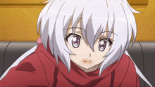 a girl with white hair and pink eyes is wearing a red shirt