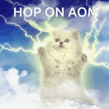 Hop On Aom Cat Age Of Mythology GIF - Hop On Aom Cat Age Of Mythology Get On Aom GIFs