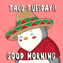 Taco Tuesday Happy Tuesday GIF