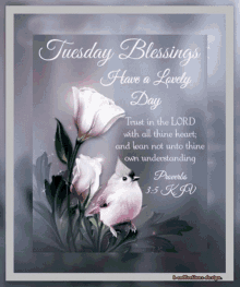 tuesday blessings good morning happy