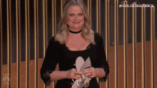 oh yeah amy poehler golden globes raise eyebrows well