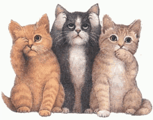 Cats Kitten GIF - Cats Kitten Cute GIFs