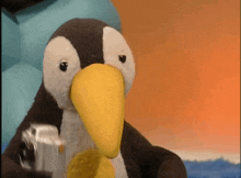 Paz The Penguin Taking Pictures GIF - Paz The Penguin Taking Pictures Camera GIFs