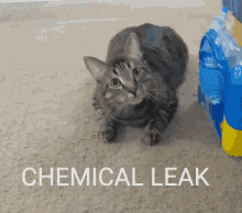 Plinka Chemical Leak GIF - Plinka Chemical Leak GIFs