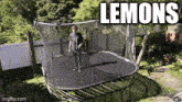 Lemons The Catchment GIF - Lemons The Catchment The Lighthouse Project GIFs