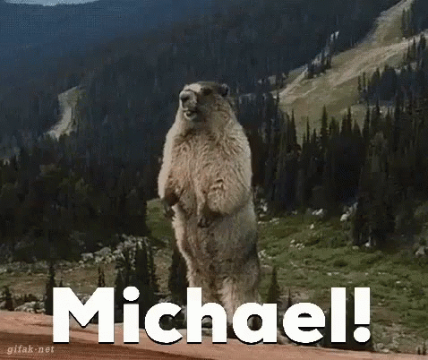 Michael Btb GIF - Michael Btb Michael GIFs