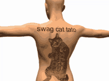 Swag Cat Swagger GIF - Swag Cat Swagger Vice President Of Swag GIFs