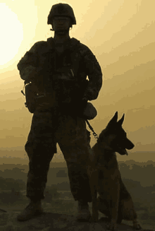 Soldiers Best Reliable Friend GIF - Soldiers Best Reliable Friend GIFs