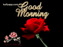 Good Morning.Gif GIF - Good Morning Gud Mrng Have A Nice Day GIFs