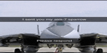 a picture of a fighter jet with a caption that says " i sent you my aim 7 sparrow please respond "