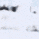 a blurry picture of a man in a white suit standing in front of a snowy forest .