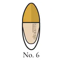 a drawing of a bottle of lisa eldridge foundation with the number 6 below it