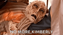 a mummy is laying on a bed with the words `` no more , kimberly '' written next to it .