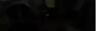 a blurred image of a person standing in a forest .