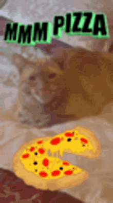 Cat Pizza GIF - Cat Pizza Reginald GIFs