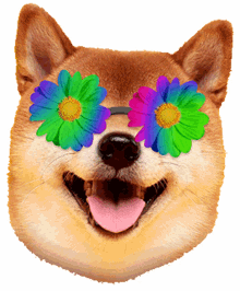 flower canine