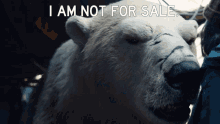 his dark materials polar bear im not for sale