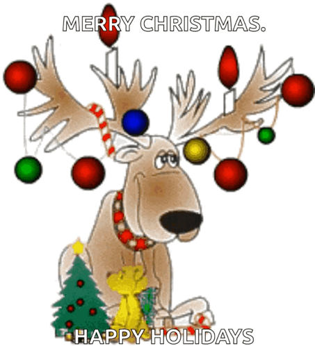 Christmas Fre GIF - Christmas Fre Funny - Discover & Share GIFs