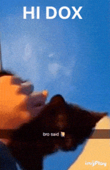 a picture of a man kissing a cat with the words hi dox on it