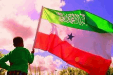 Somali Flag Somaliland GIF