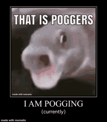 Pogger GIF - Pogger GIFs