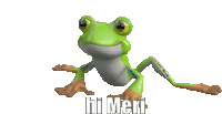 Hi Meri Frog Sticker - Hi Meri Frog Stickers