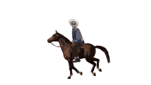cowboy fun horse