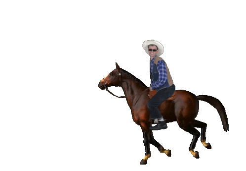 Cowboy Fun Horse Sticker - Cowboy Fun Horse Stickers