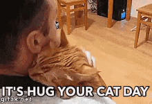 hug your cat day hug cuddle cat pet