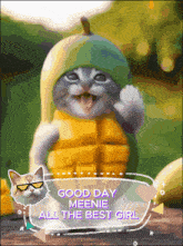 a picture of a cat wearing a hat that says good day meenie all the best girl on it