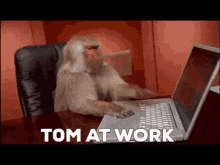 Tom Ape GIF - Tom Ape GIFs