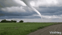 Tornado Viralhog GIF
