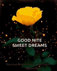 Goodnight Sparkles GIF - Goodnight Sparkles Flower GIFs
