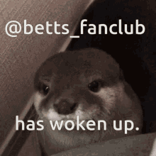 Betts_fanclub GIF - Betts_fanclub GIFs