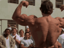 Pumping Iron Arnold Schwarzenegger GIF - Pumping Iron Arnold Schwarzenegger Workout GIFs